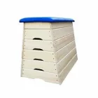 Gymnastic apparatus