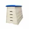 Gymnastic apparatus