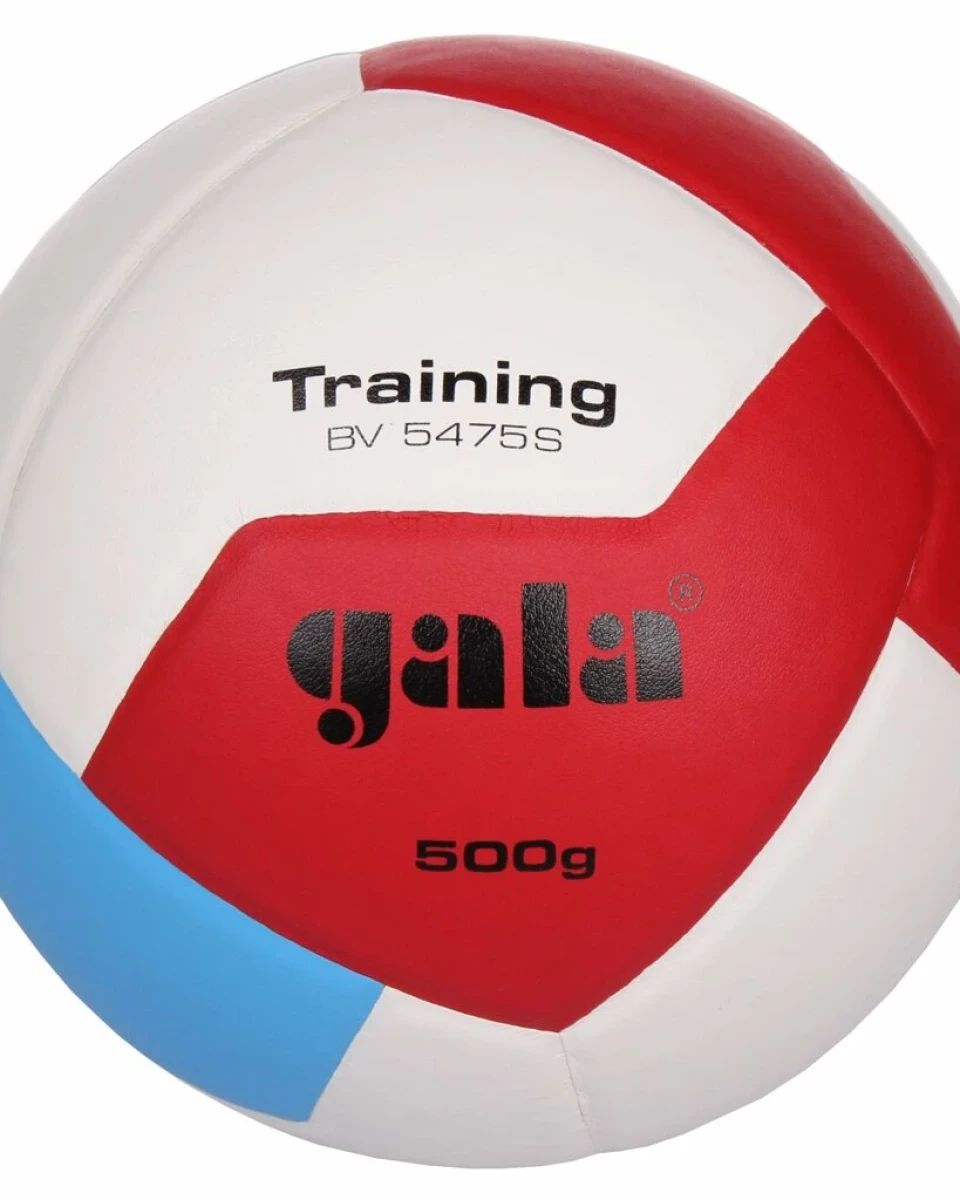 Minge volei BV5475S Training 500 g
